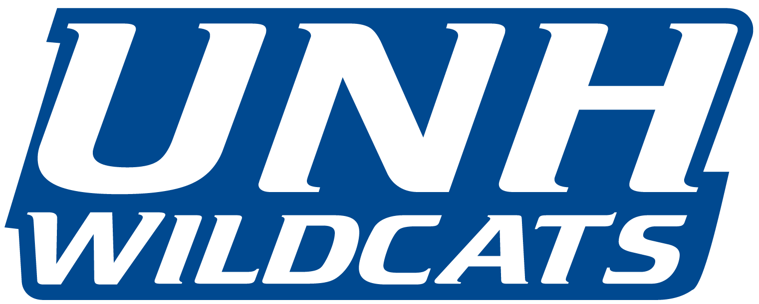 New Hampshire Wildcats 2000-Pres Wordmark Logo v5 diy iron on heat transfer